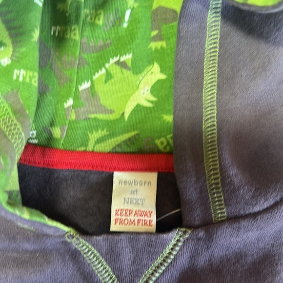 Next - NWOT - Kids Dinosaur Hoodie - Dark Gray and Green - Picture 3 of 4